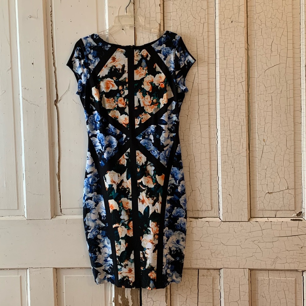 Cache floral dress Size Large